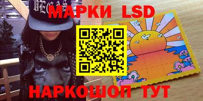меф Гатчина
