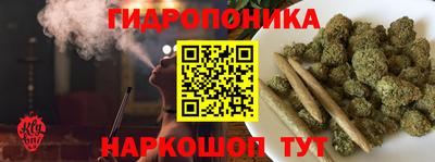 меф Гатчина