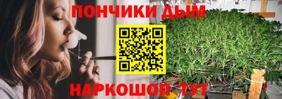 меф Гатчина