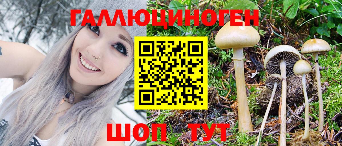 Галлюциногенные грибы мицелий Карабулак